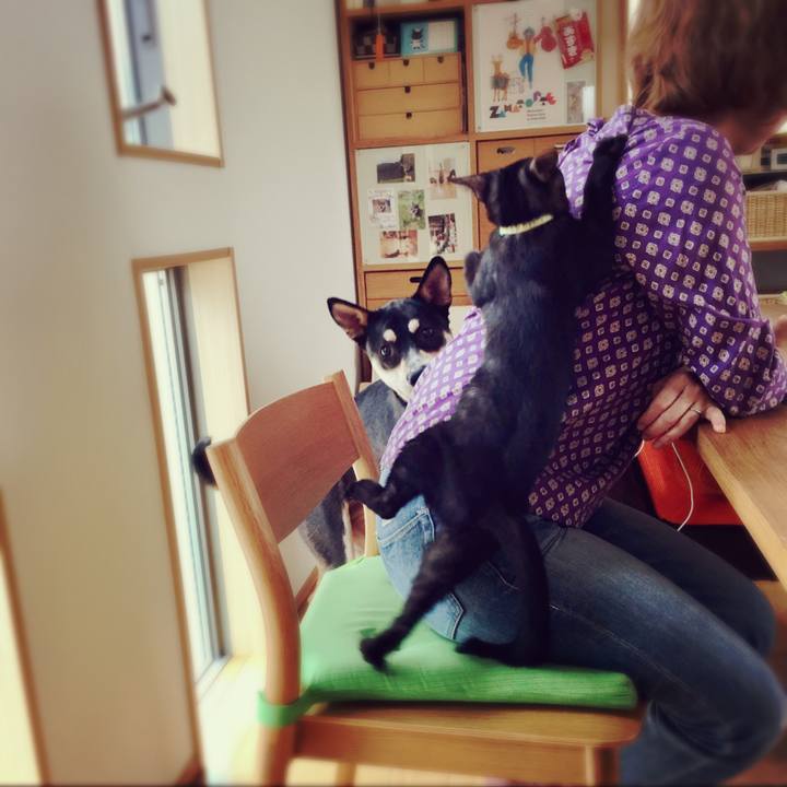 28b4c27e ba5e 4538 9e98 7746d099e0c2