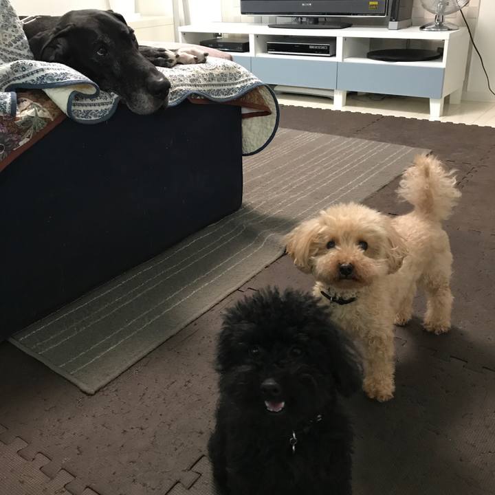 28b4d654 adc6 438d b49c b81444b99708