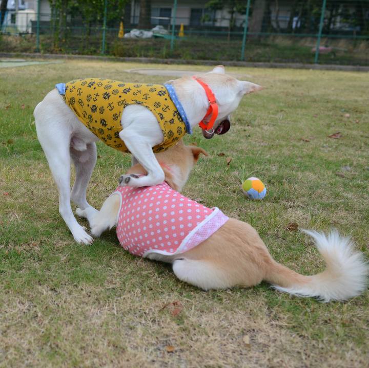 28b4dec9 0fa1 41e3 ad35 40322f158b51