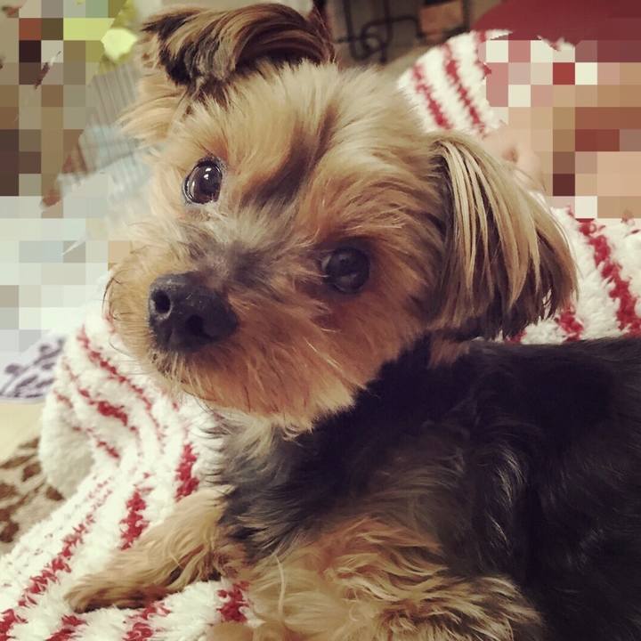 28b5200b 27fe 4d44 a20f 9831d7dda0f0