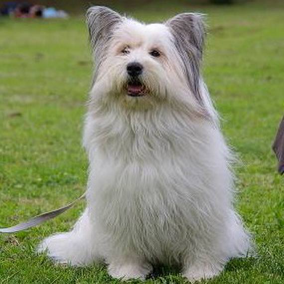 28b589af b3ba 45b1 b93a 33812818a959