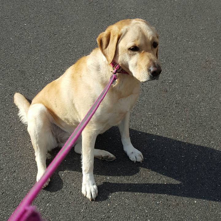 28b621ea 8674 43d4 931b ccfe4396d133