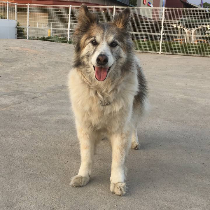 28b64369 3be8 4692 a1b4 8ac1953b52fa