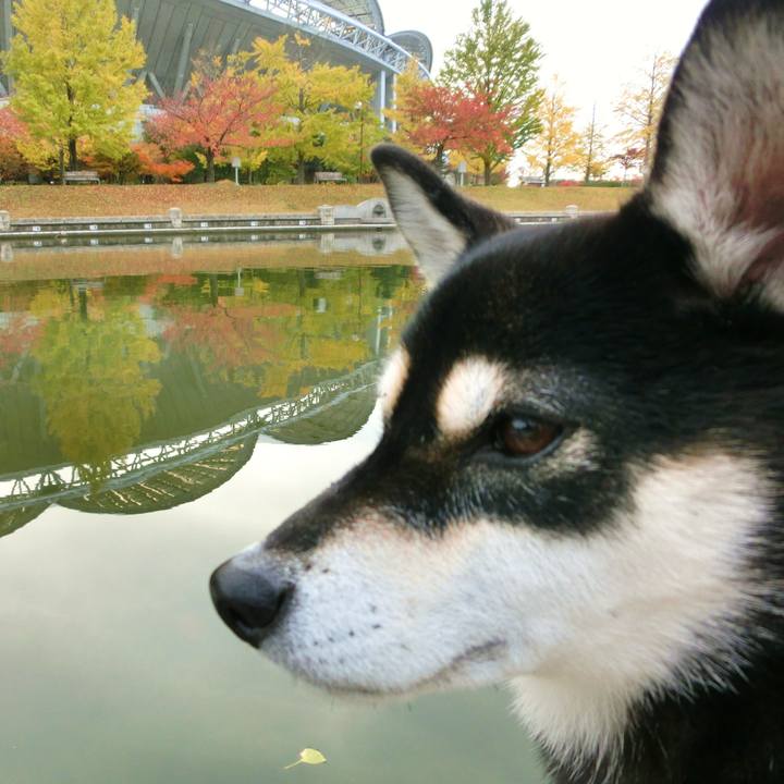 28b750c1 e815 4320 a092 c7def14a3b6b