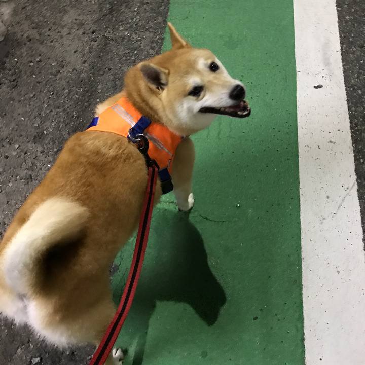 28b7829d 948e 4ce9 98d5 f22bfb76194d