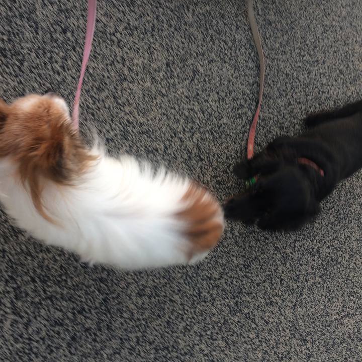 28b8fe24 5ca4 4656 a1c2 7c28efef4431