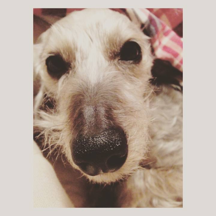 28b90730 6c8d 434e a92c 71b62449e7c7