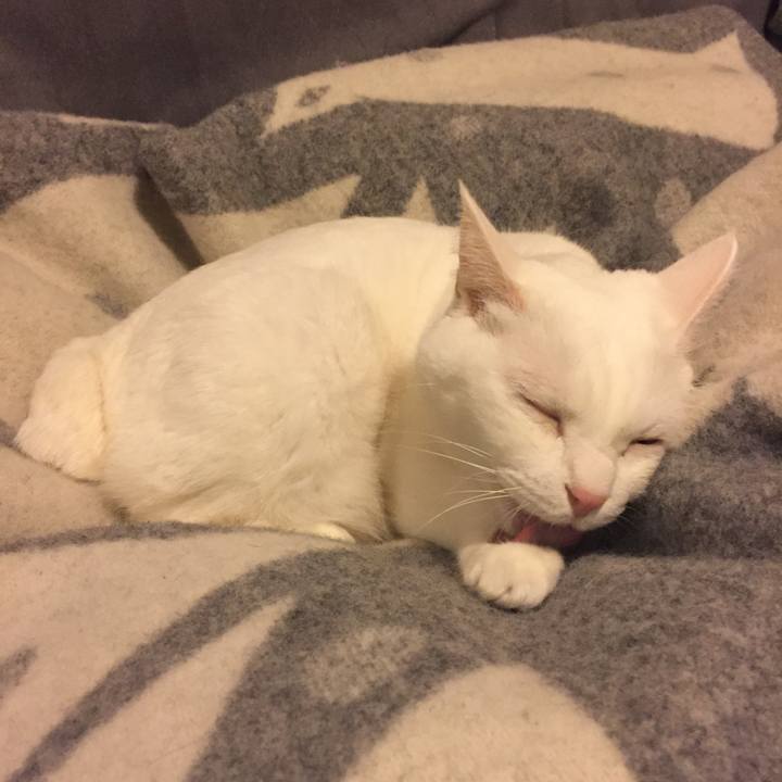 28b97f8d cf2b 4f8c aacf 10904dadc750