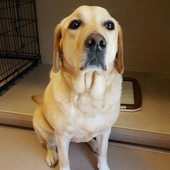 28baa507 e6c3 4b71 a672 491b27838a1a