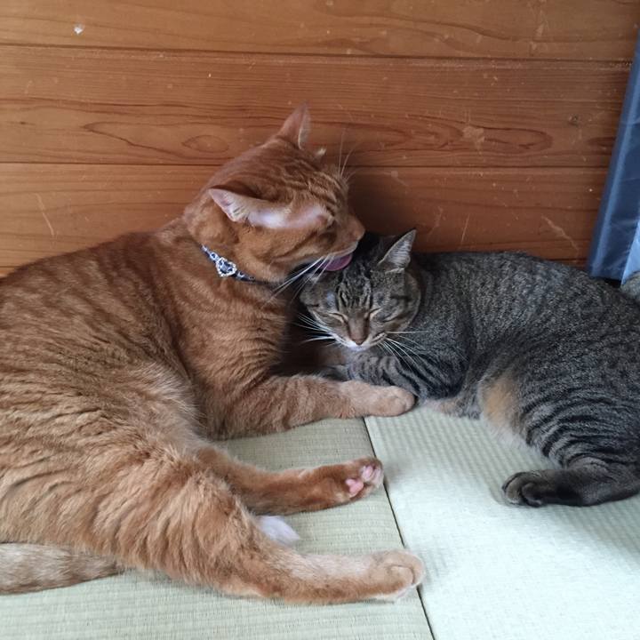 28bac827 4bad 4690 801b c21fa1d860b0