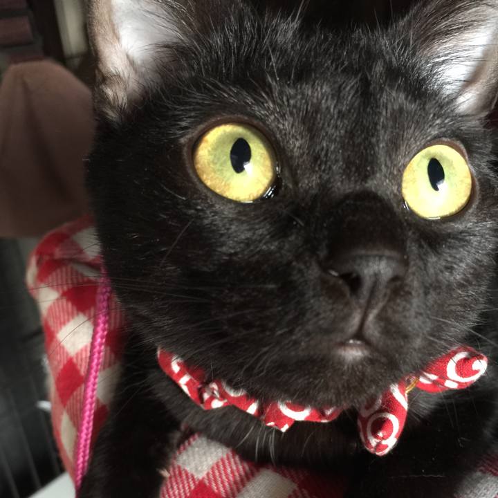 28bb1e08 37fc 4c98 a37c 8657422f220f