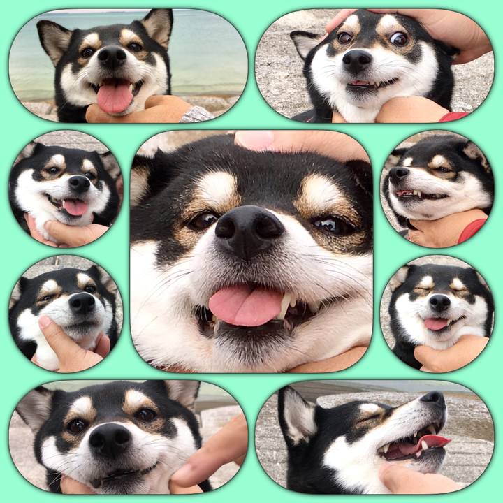 28bb7501 53be 42a1 8cdf 331e867bd3ed