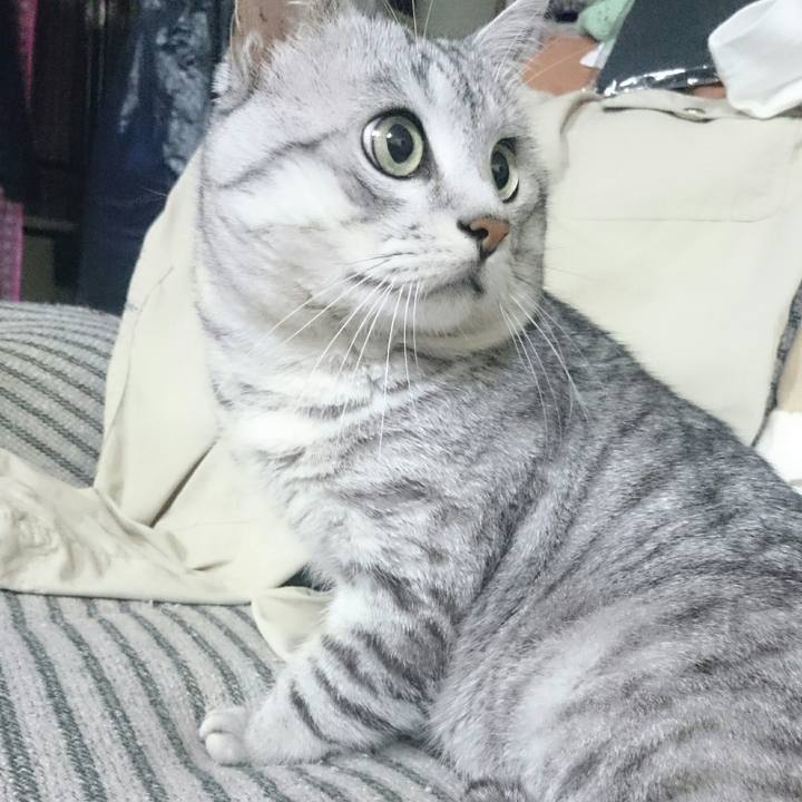 28bbcce4 0e4c 44ea a09e 512a4fe3885d