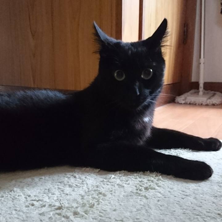 28bc0f13 d970 4f18 a27f 48630949be96