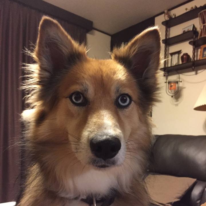 28bc0ff8 a4e1 4083 abd1 5759dc7ff1f9