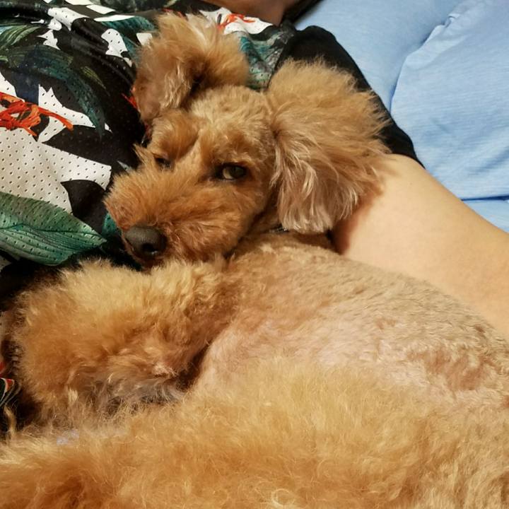 28bc42c4 dfb9 4634 ba1b d16c75fdc9d4