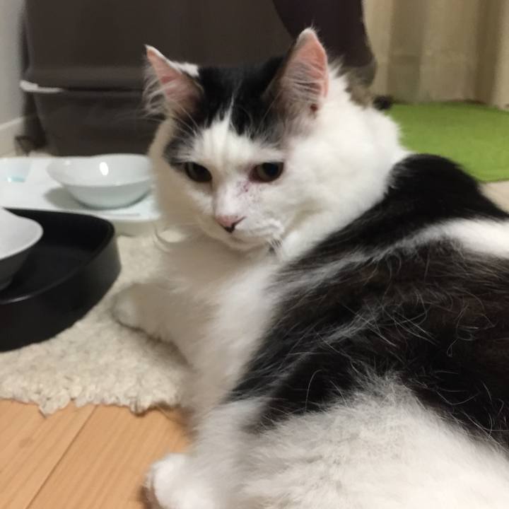 28bccd19 5275 4b3f 8fe3 f1f2bccade87