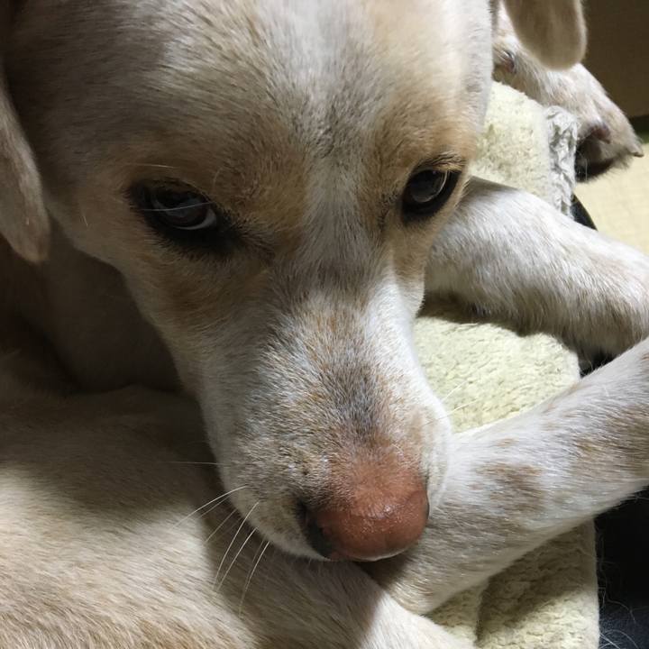 28bcd78d 8e1e 4e27 88bd aa7e83b92917