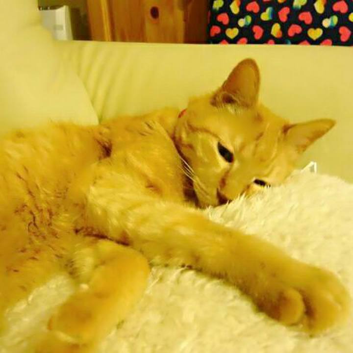 28bd01fd 33b3 40e4 bb08 cba190994ed1