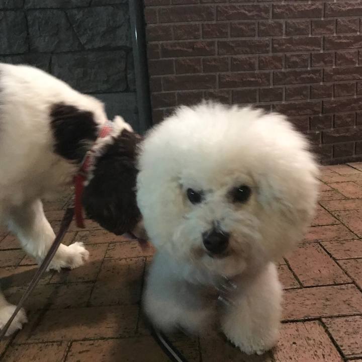 28bd195c 07b9 41c4 8517 2aea9d545625