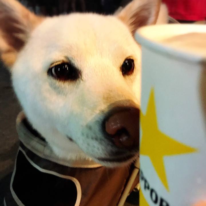 28bfda41 17ee 4f7a a06f fc6c2cfa03cb