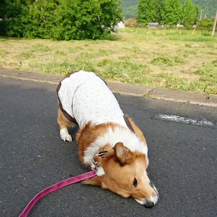 28c066d5 f290 4d51 be95 4ae72c42906b