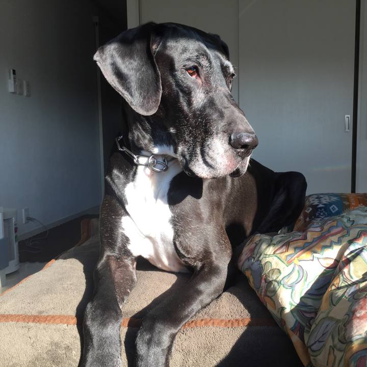 28c07e4f 8918 4ba0 9b35 33988ee8bde2