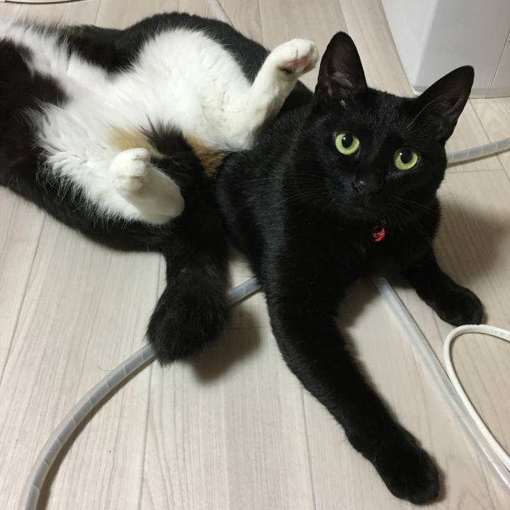 28c08ce1 647e 4f00 a283 7222717150e4