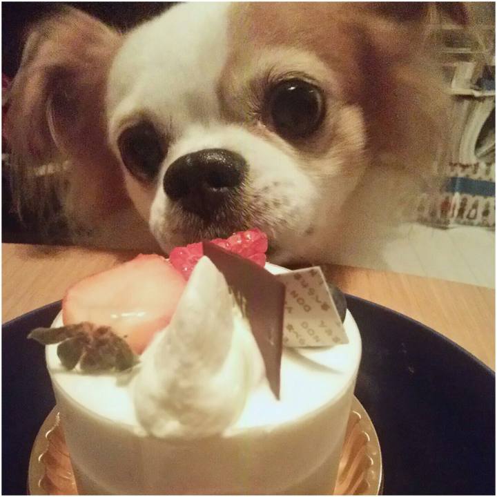 28c0d506 5abc 4a8b 958a cb50ac2bfc8f