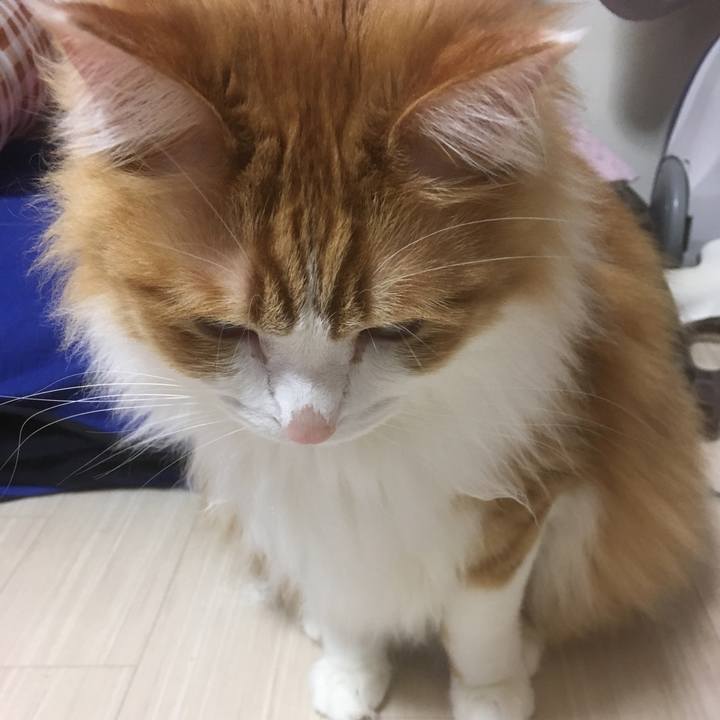 28c10cdb 3cb7 4c17 afdb e49dcbec2cc8