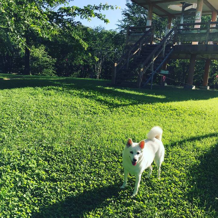 28c11f48 4f1b 4412 b8c5 2ebd29b975d2