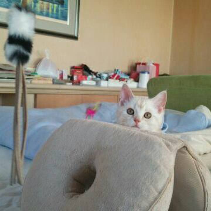 28c18aaf 5957 4fdd a45d 3b3922170490