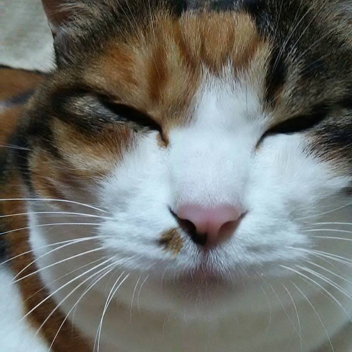 28c1af29 dace 4114 af33 8577dfdac593