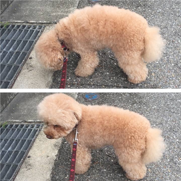 28c1c777 9907 4a97 90a9 e145eaf013d6