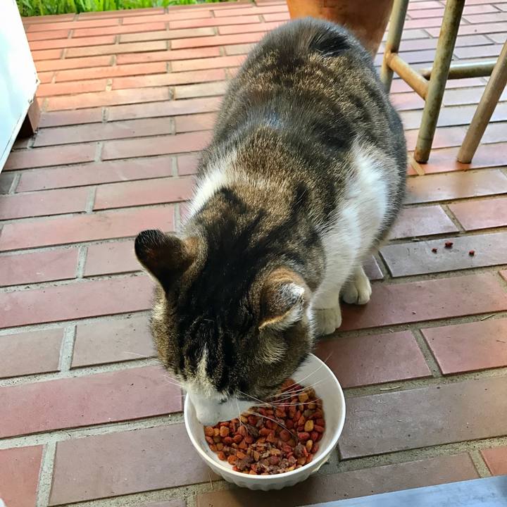 28c23e49 6eda 4734 9728 0fbdd5b4d6f3