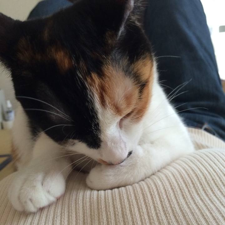 28c24820 8efa 40d7 95d9 e5984521ba51