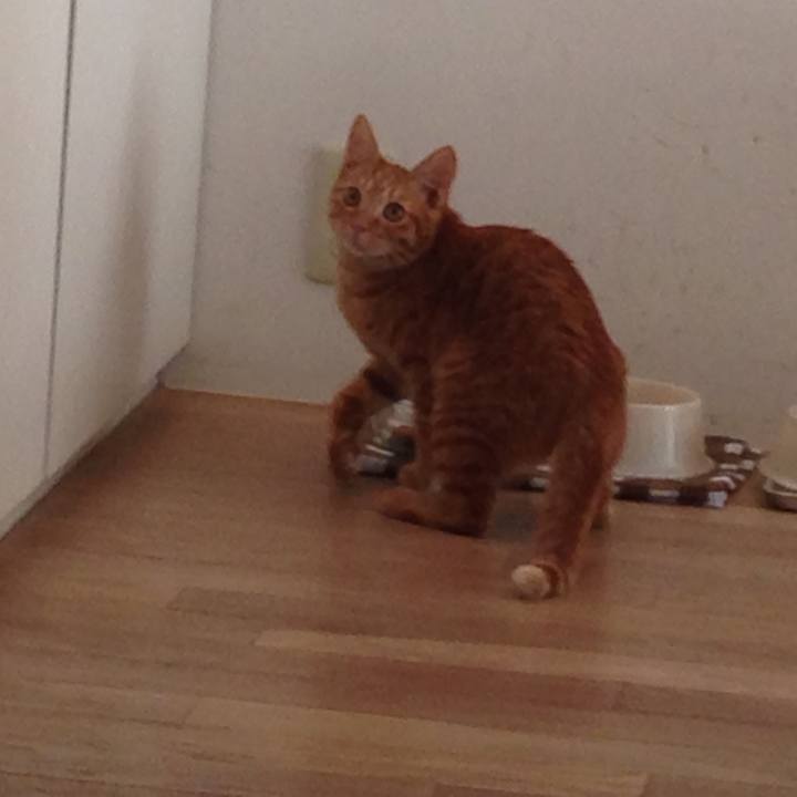 28c44037 69ee 4691 abea c61f63a7e412