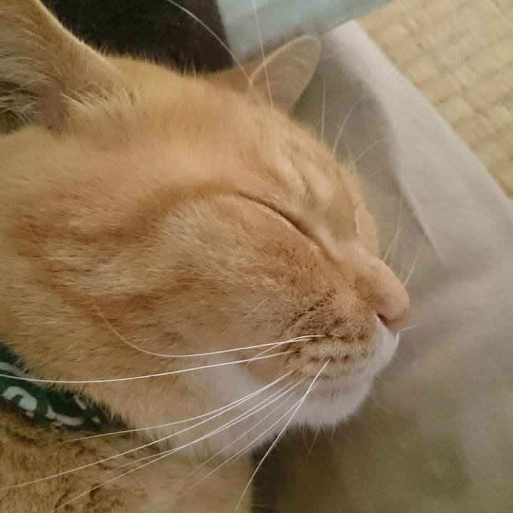 28c48a81 8b94 4204 97f0 f0f2362f3136