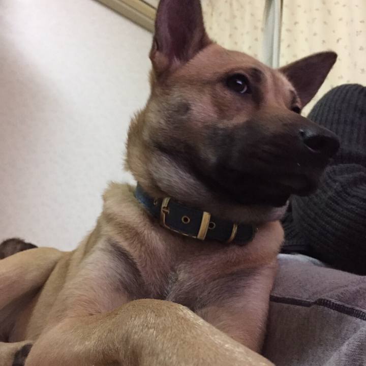 28c4c7d6 2c13 4ddc 9418 bc685682fa67