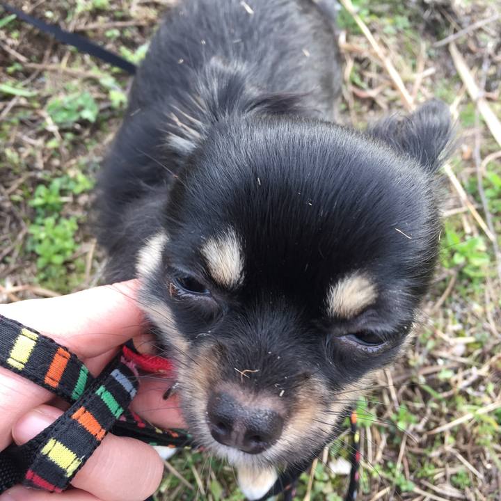 28c4e213 f4b4 4181 b52d 39e5e46ea4b0