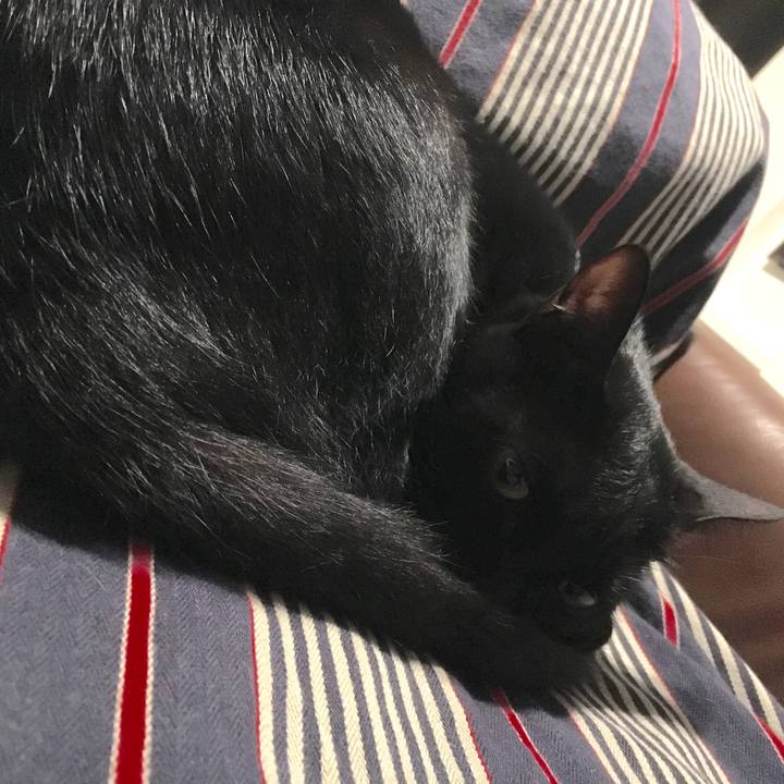 28c51764 35e3 45d1 b8a6 a9604a32d025