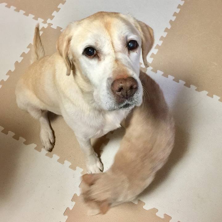 28c52bb1 bb99 47cf 9811 4a07fba96d68