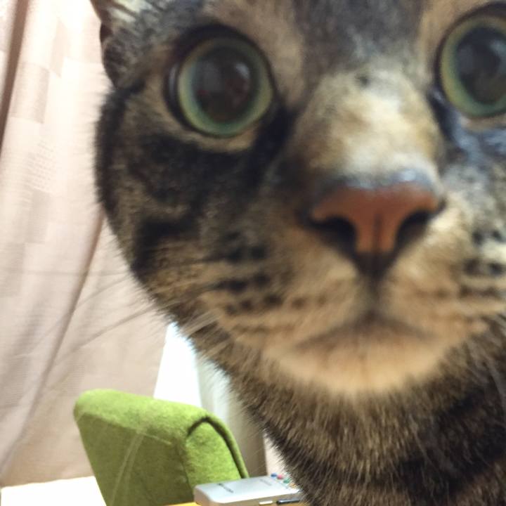 28c55f74 05fb 439a 9aa1 8e323f86c166