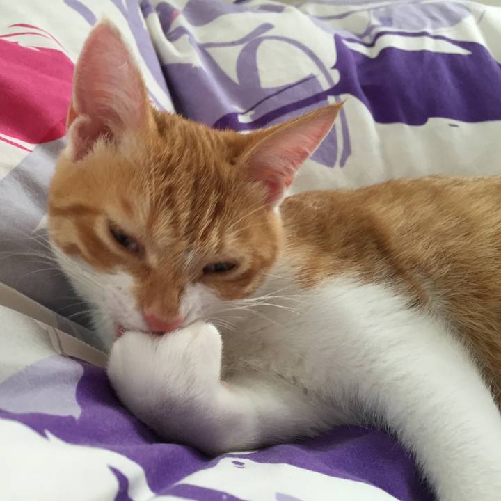 28c5a2d4 d50c 4b35 95c9 49d35ed1a33e