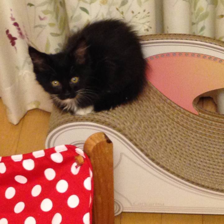 28c5c2e7 93d8 44bb aec7 e1138b2c474b