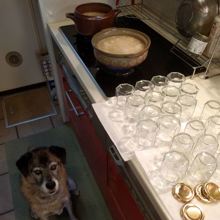 28c67bd2 0b96 498d a0e1 1ae193f78ae1