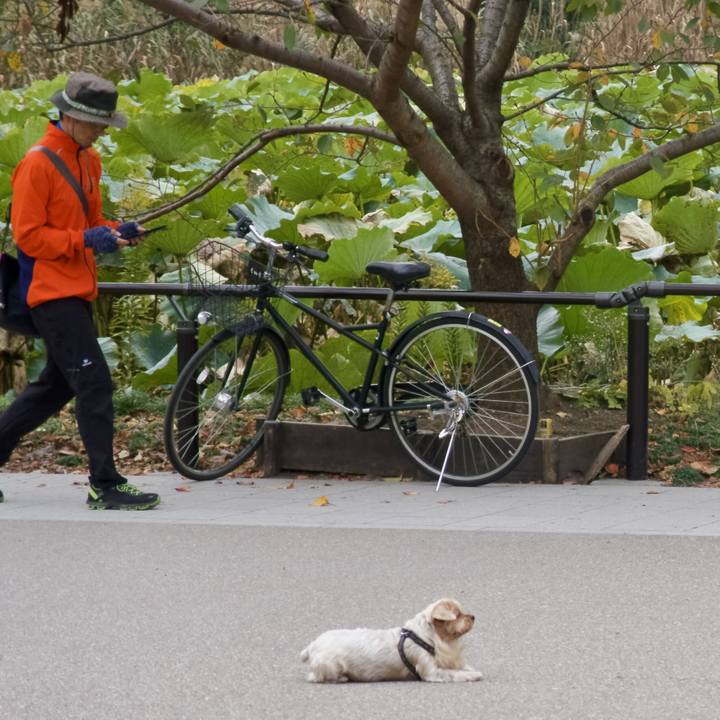 28c68862 285c 42e7 ba2c 3a9a1c5ba639