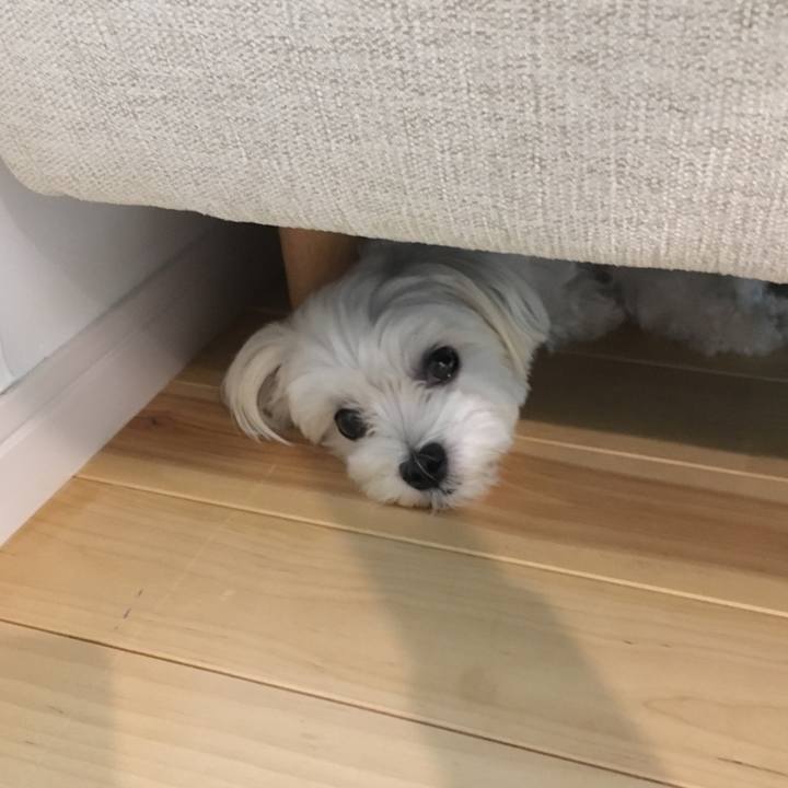 28c6bcb2 1dd3 4f2c 8323 330c467b0549