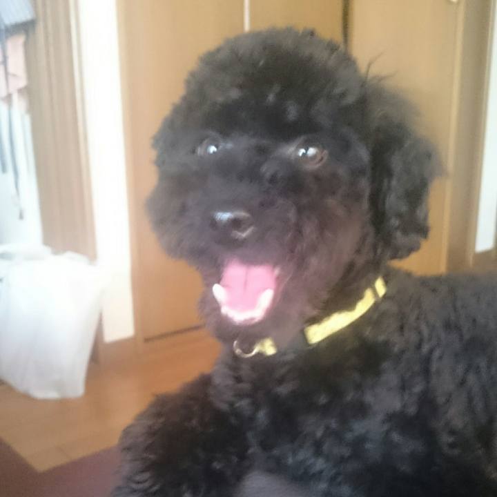 28c714b3 5592 42e8 a593 6cf35fd31321