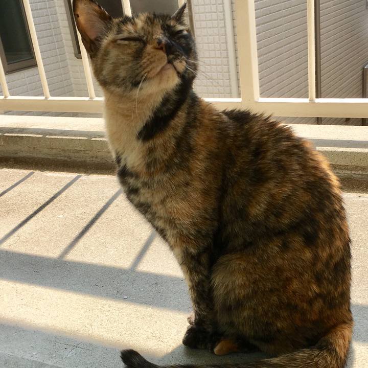 28c7ef7b 0125 4440 b50b 1e6f01c3de0d